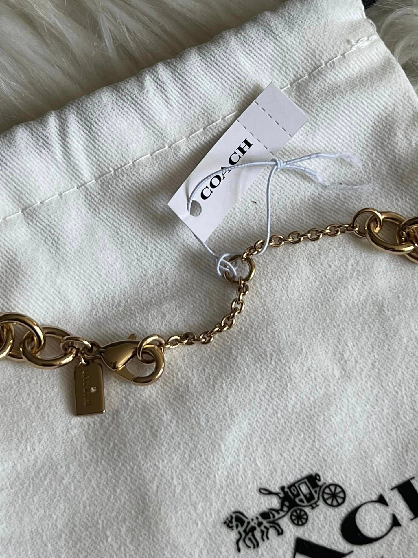 Coach Signature and Stone Chain Necklace