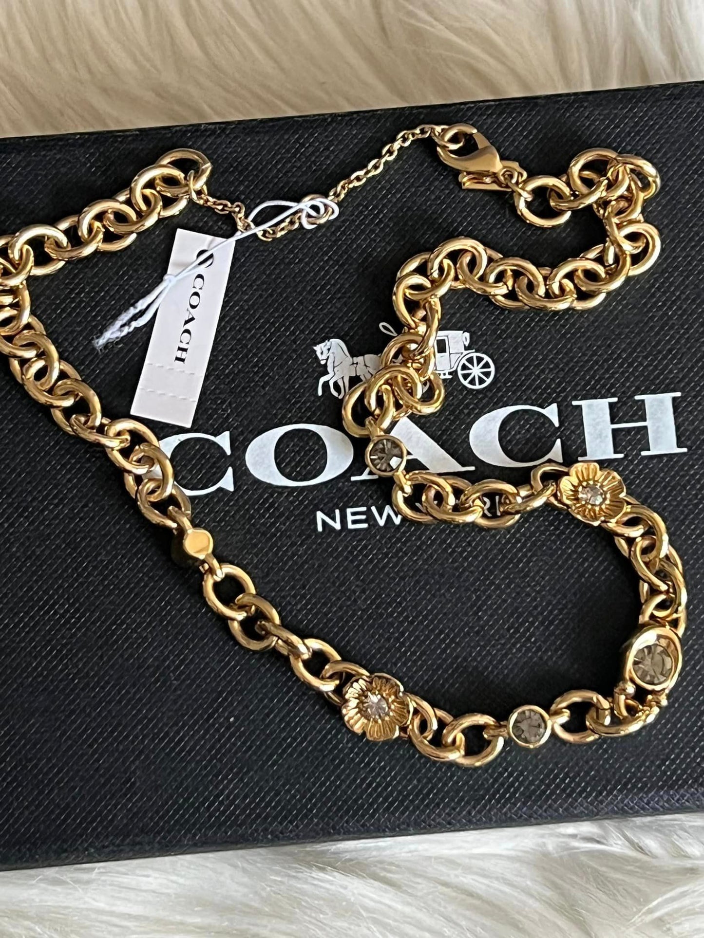 Coach Signature and Stone Chain Necklace