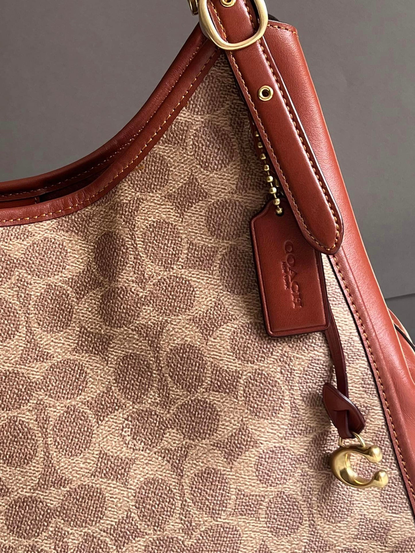 Coach Lori Shoulder Bag in Signature Canvas