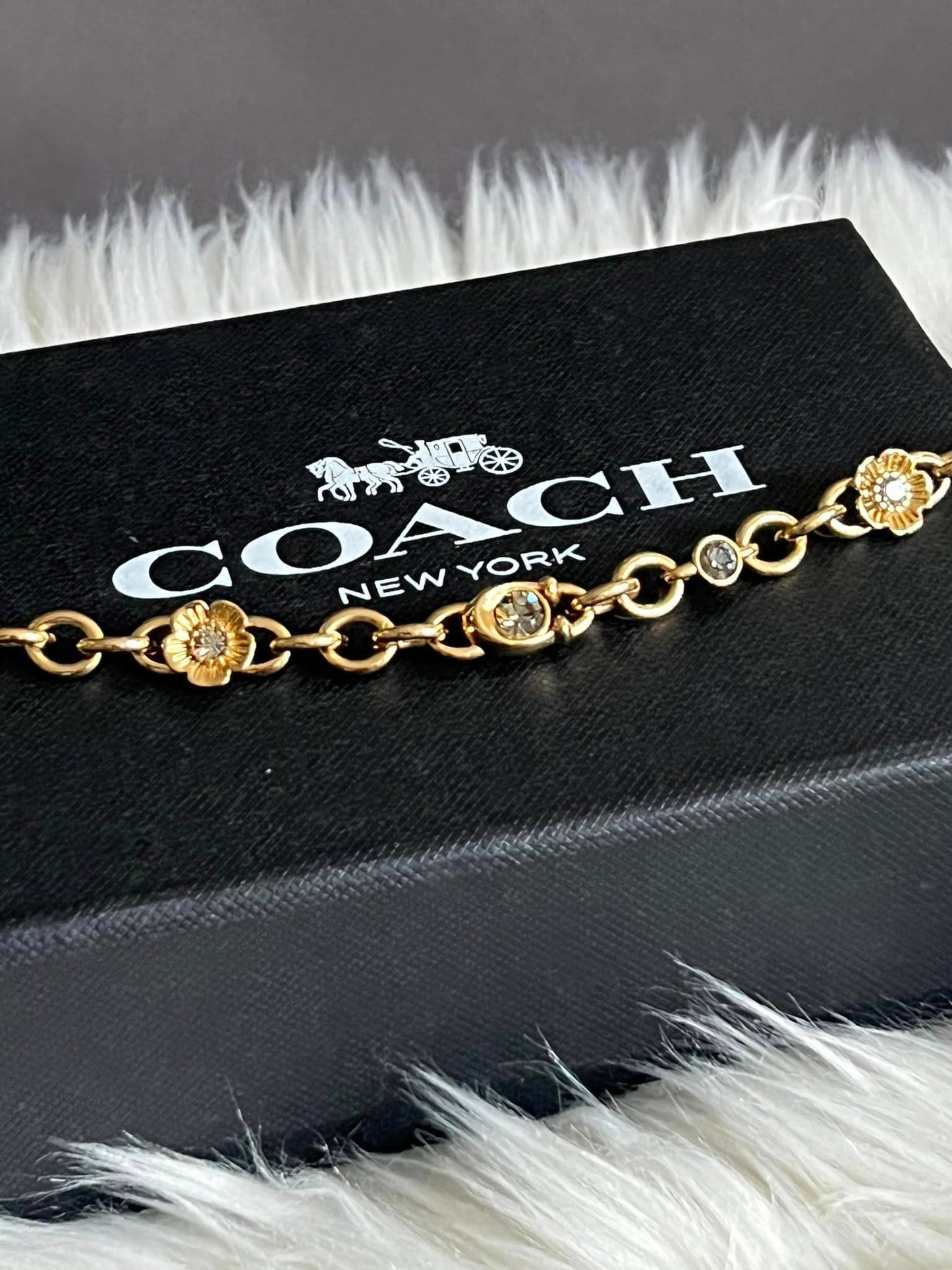 Coach Signature and Stone Chain Necklace