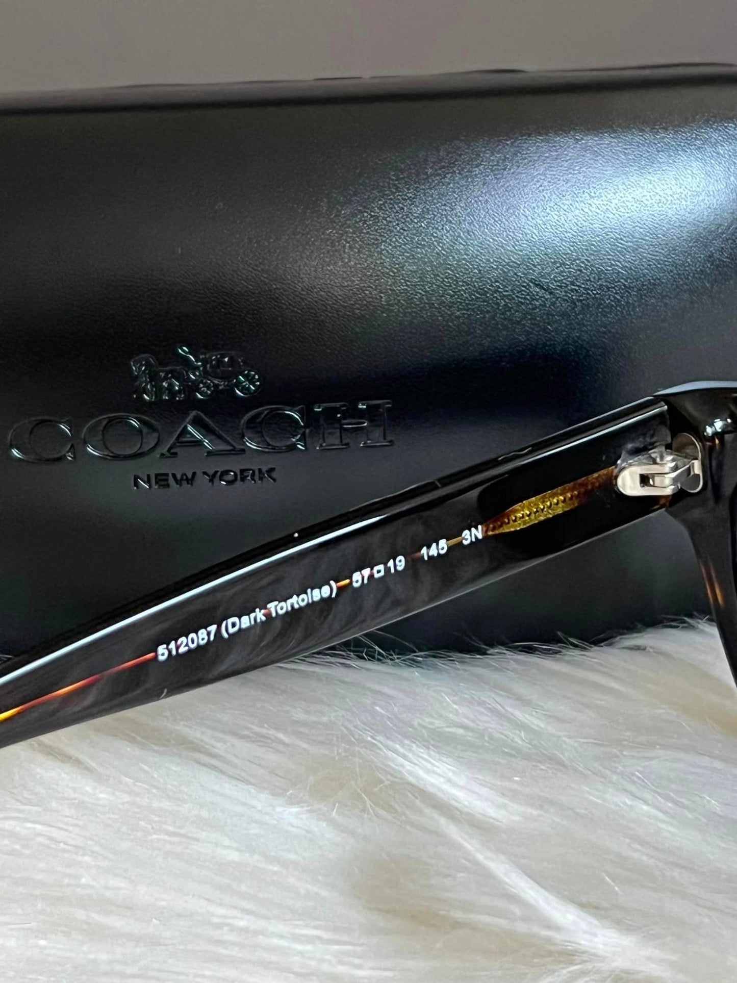 Coach Leroy Sunglasses