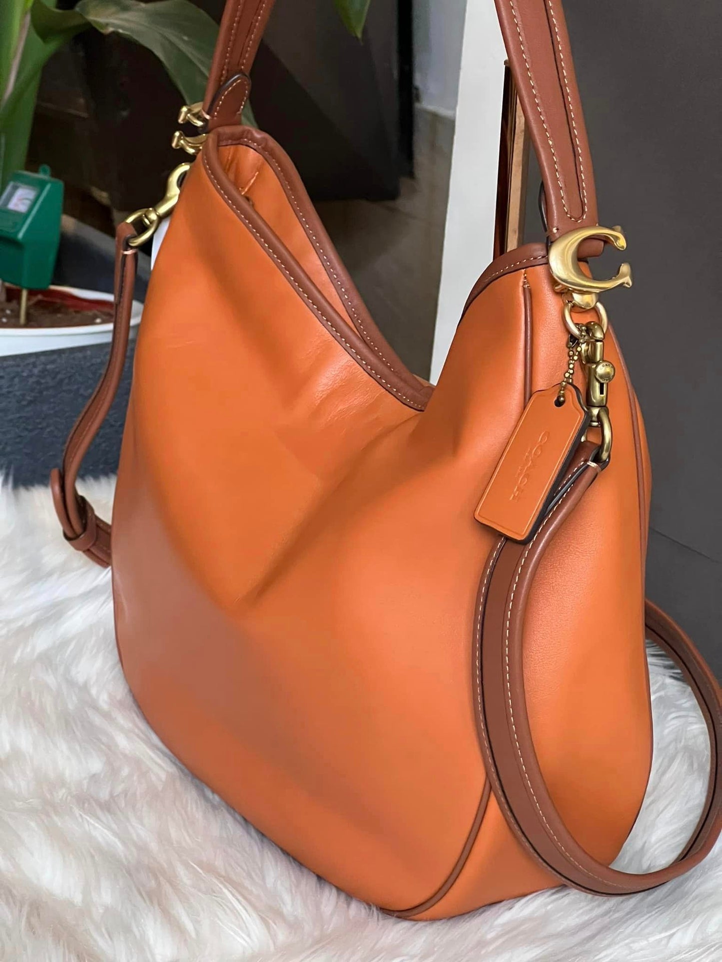 Coach Soft Tabby Hobo in Colorblock