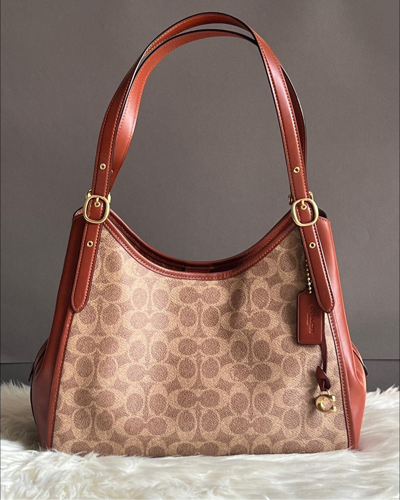 Coach Lori Shoulder Bag in Signature Canvas