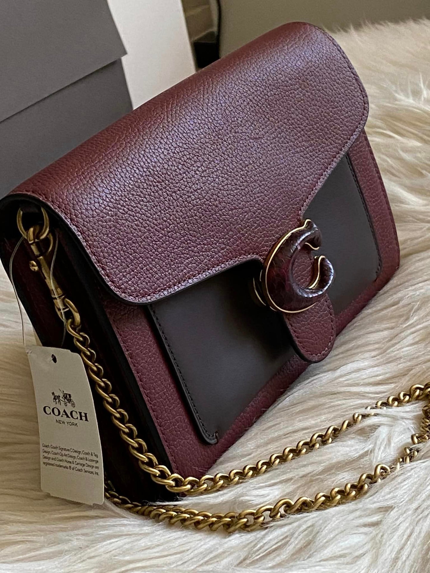 Coach Tabby Chain Clutch in Colorblock with Snakeskin Detail