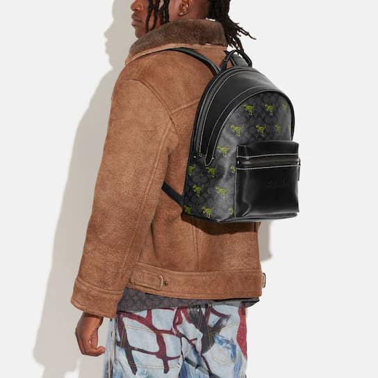 Coach Charter Backpack In Signature Canvas with Rexy Print