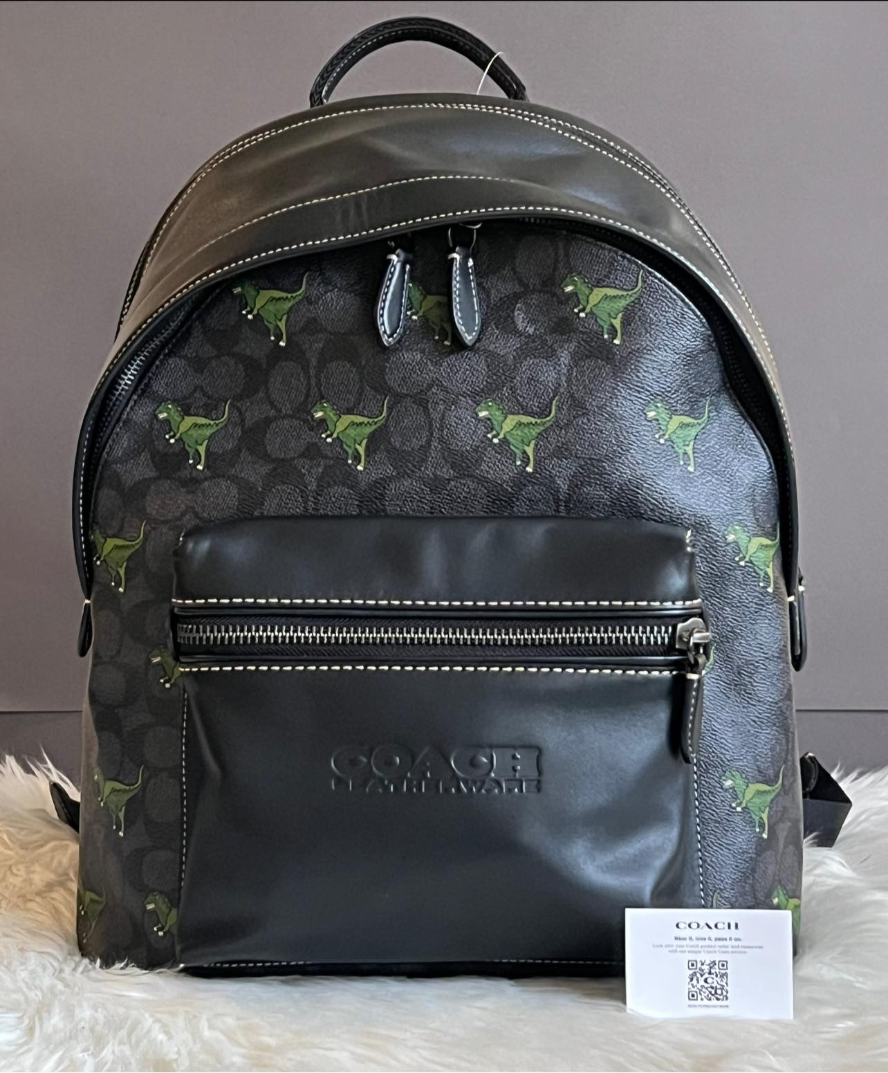 Coach Charter Backpack In Signature Canvas with Rexy Print