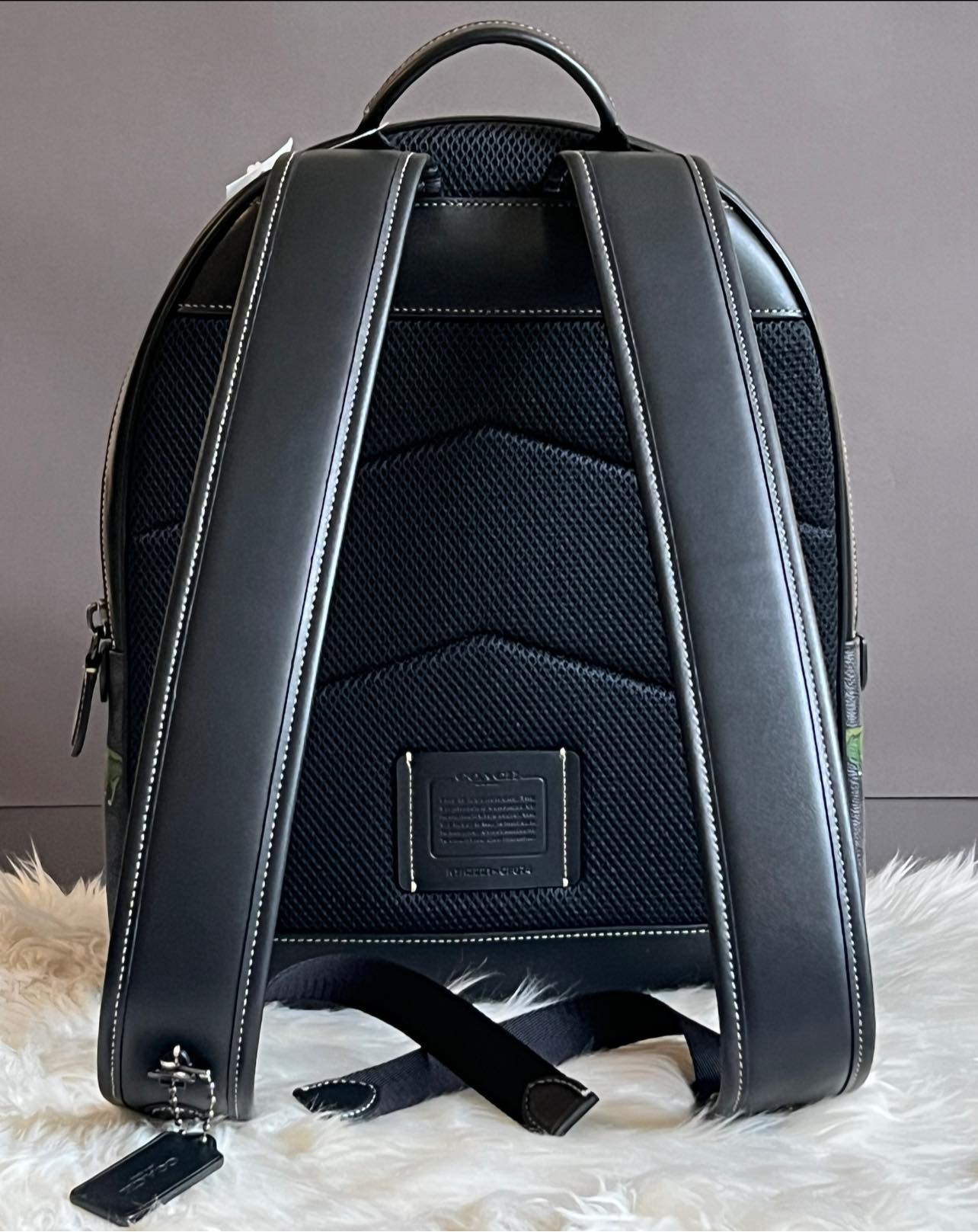 Coach Charter Backpack In Signature Canvas with Rexy Print