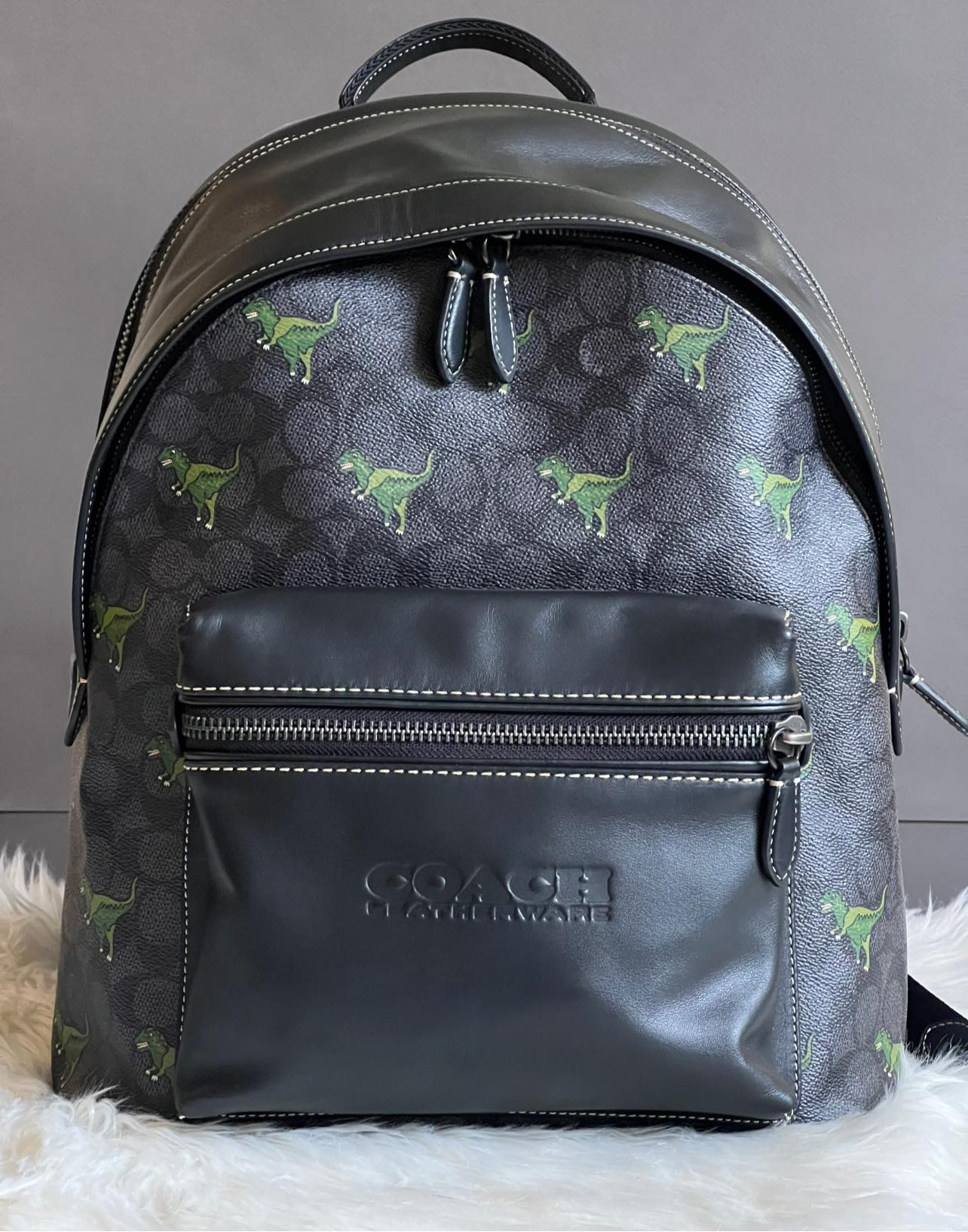 Coach Charter Backpack In Signature Canvas with Rexy Print