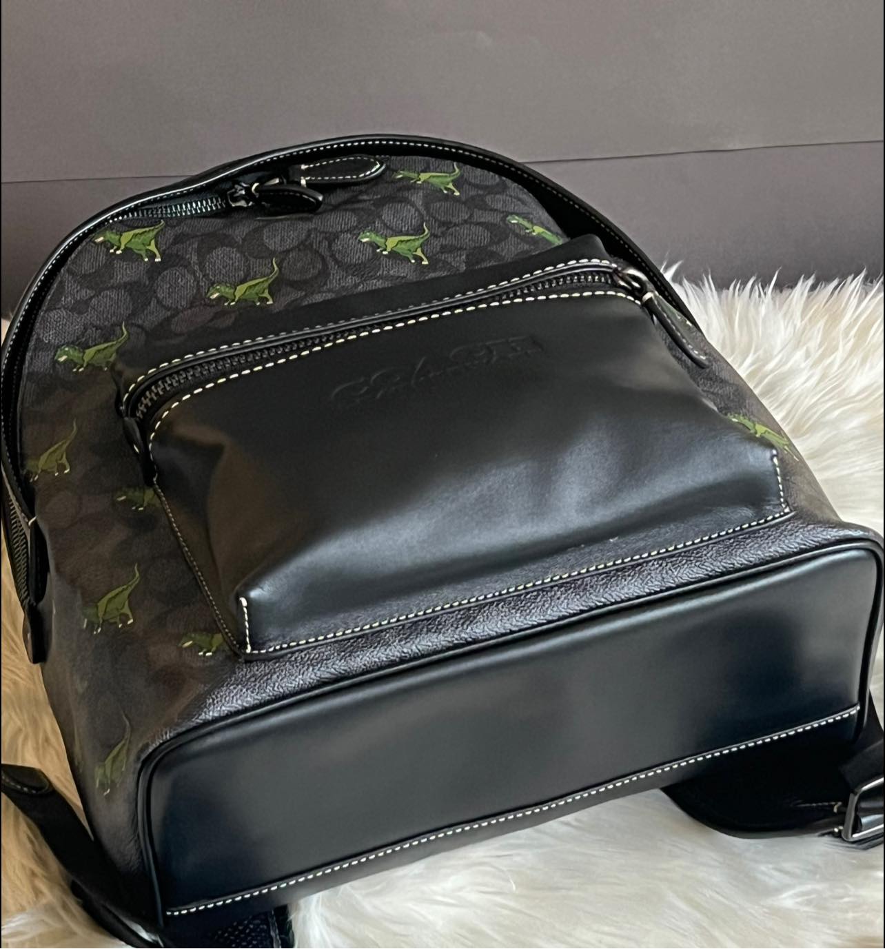 Coach Charter Backpack In Signature Canvas with Rexy Print