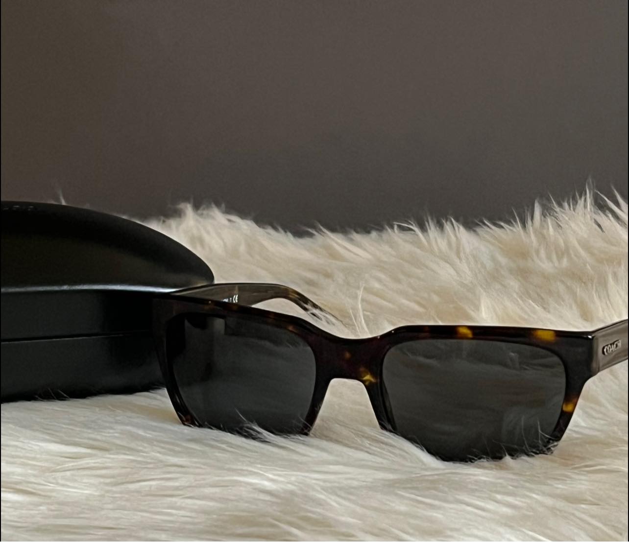 Coach Leroy Sunglasses