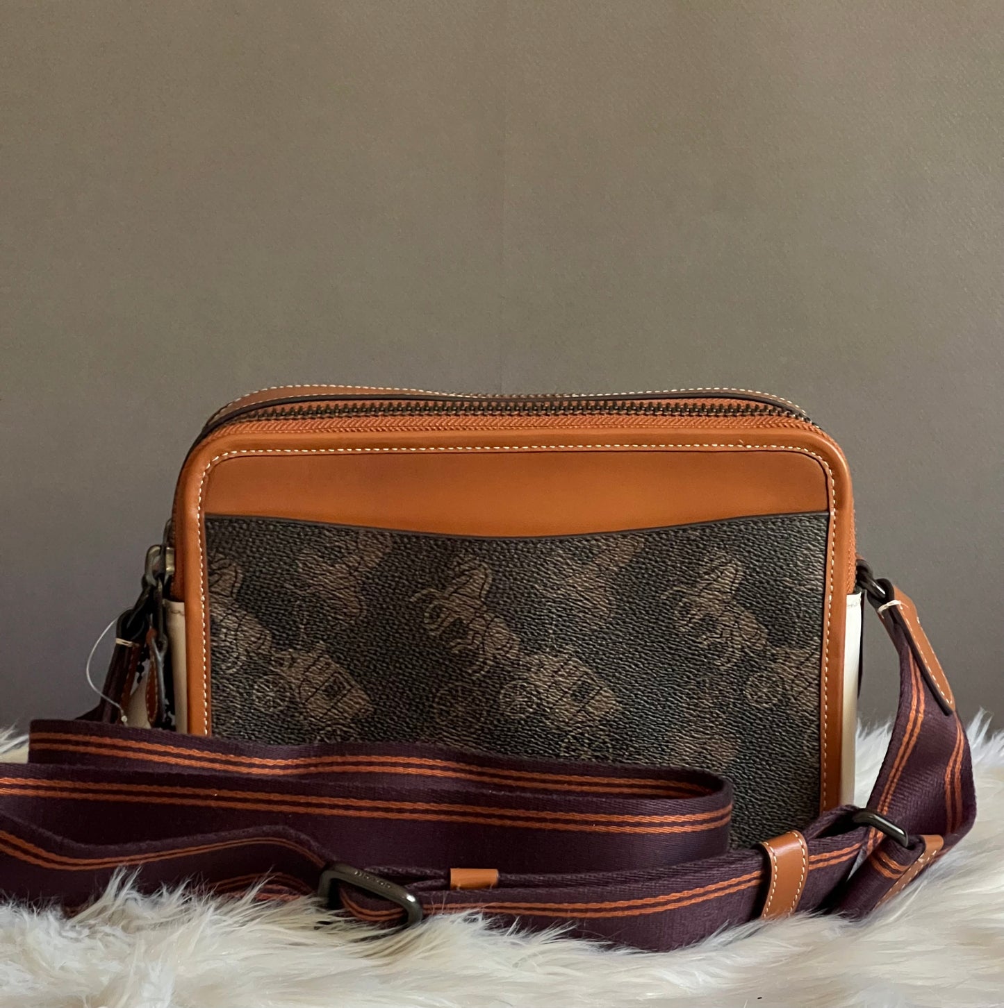 Coach Charter Crossbody 24 with Large Horse and Carriage Print