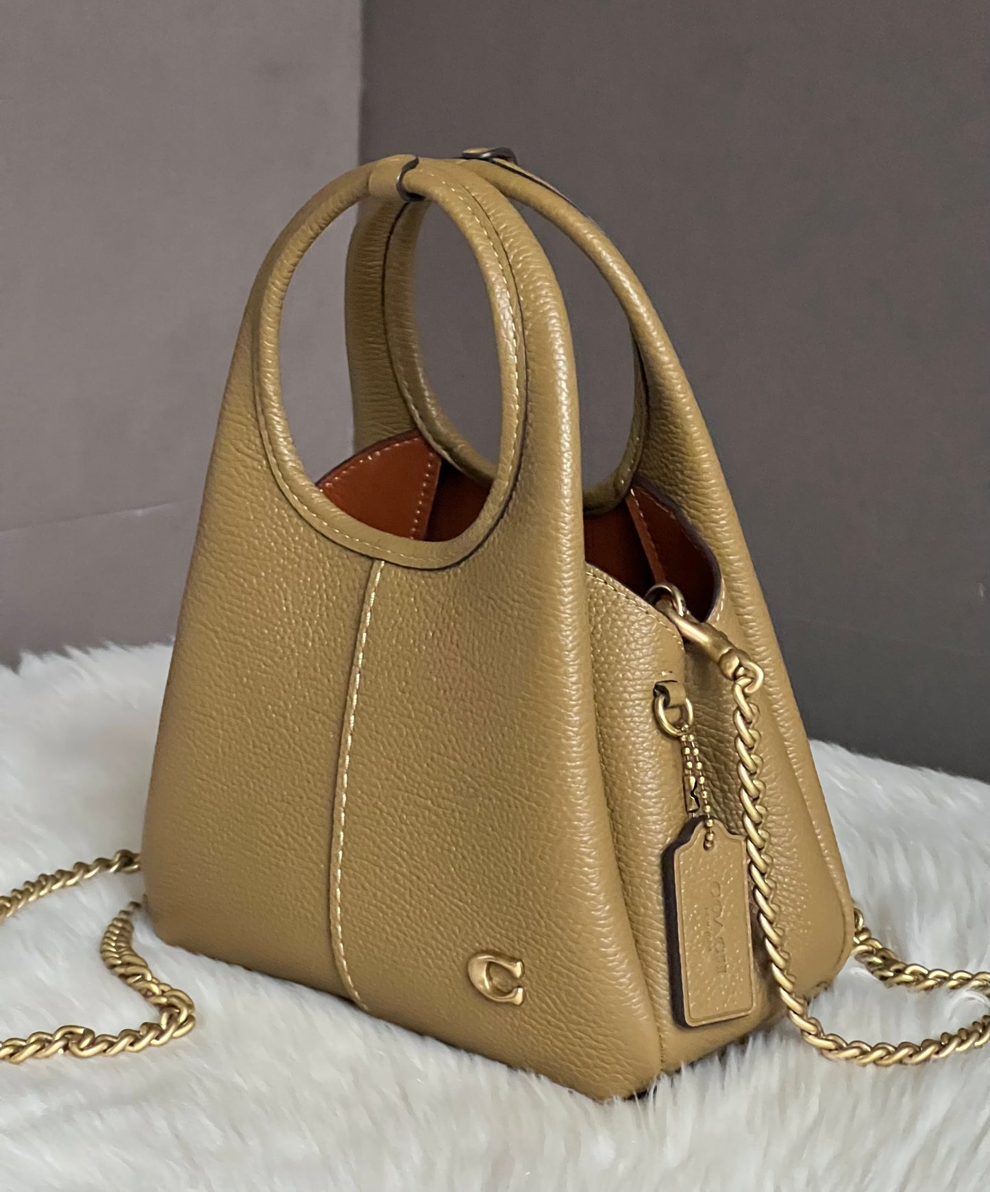 Coach Lana Shoulder Bag 19
