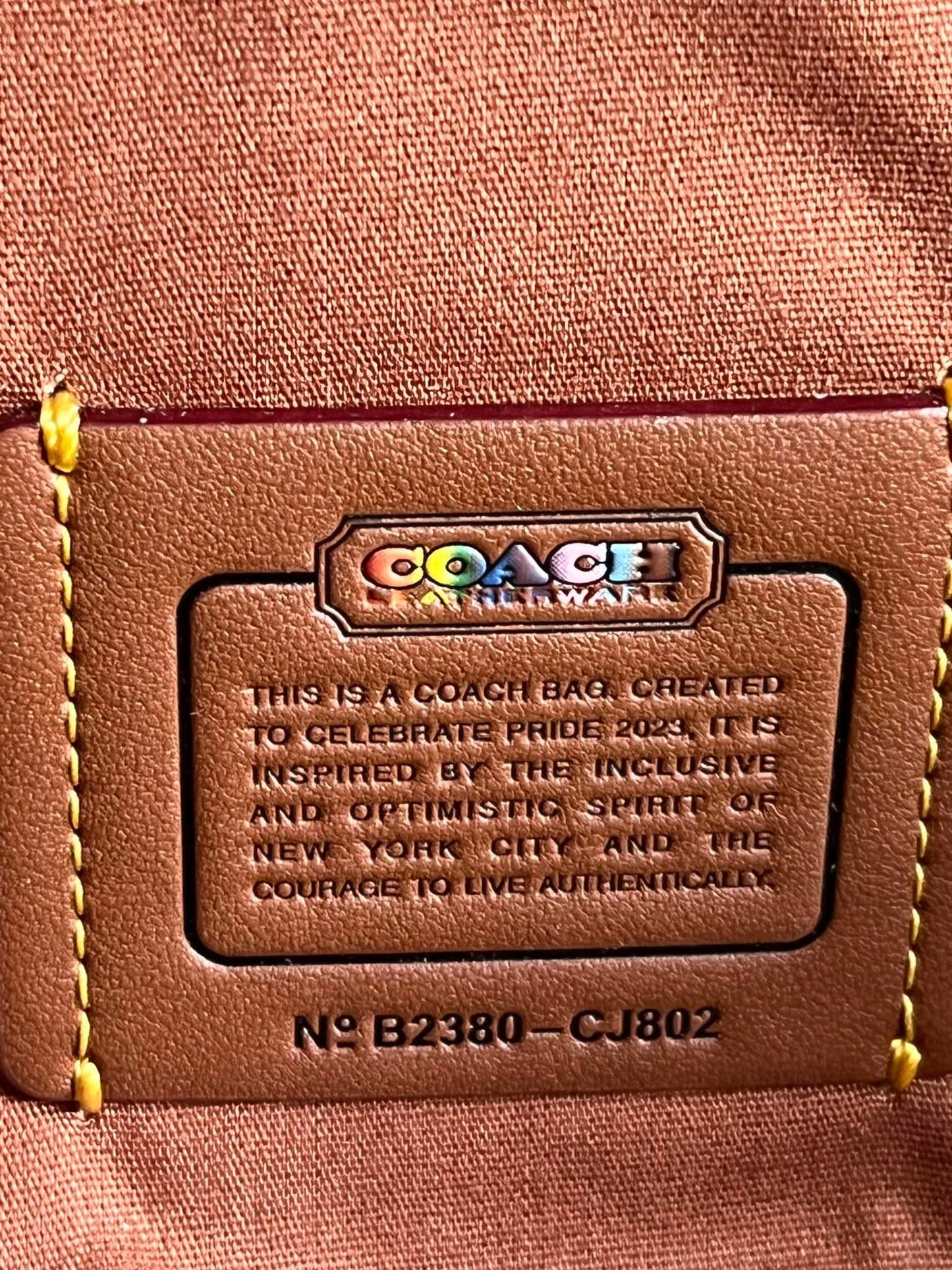 Coach Charter Slim Crossbody in Rainbow Signature Canvas