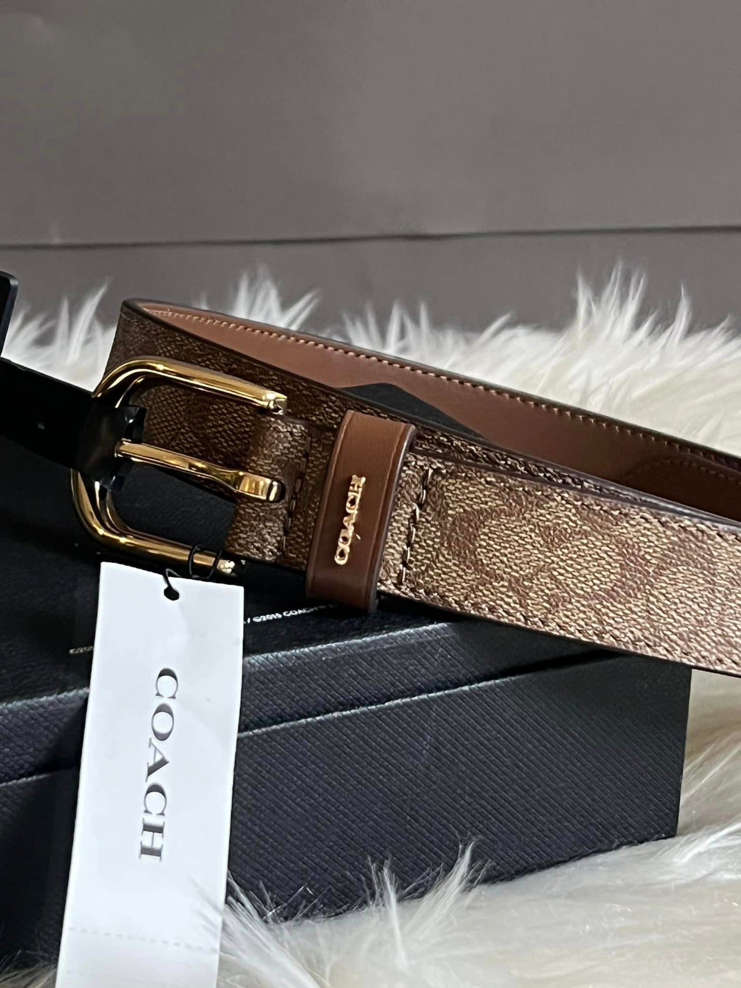 Coach Classic Belt in Signature Canvas