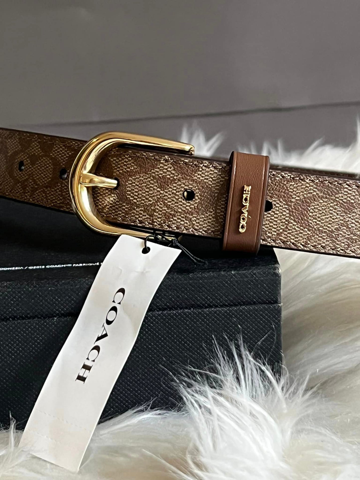 Coach Classic Belt in Signature Canvas