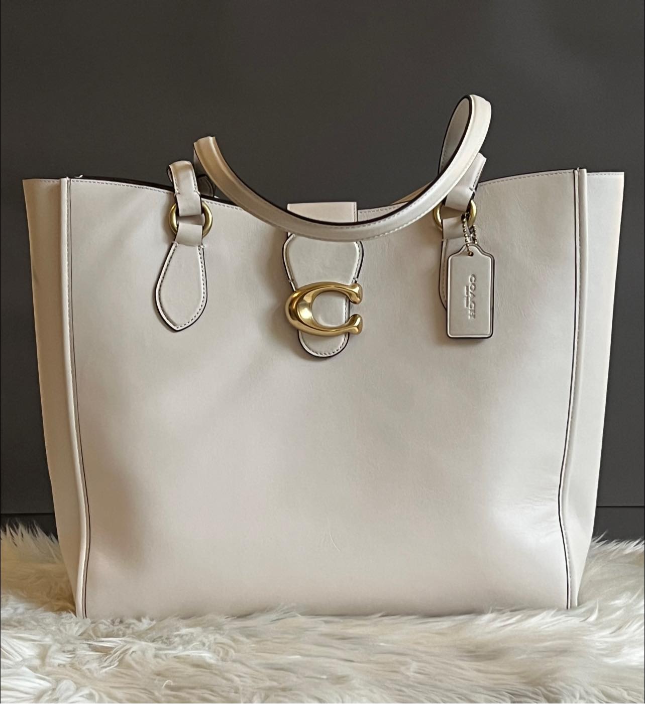 Coach Theo Tote