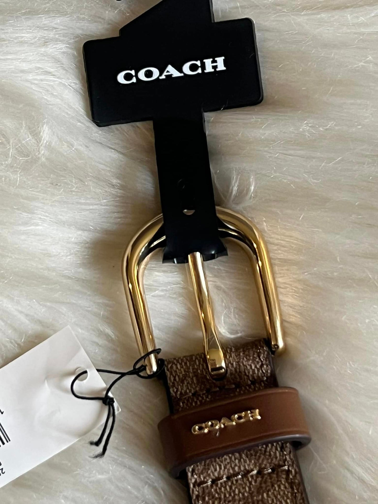 Coach Classic Belt in Signature Canvas