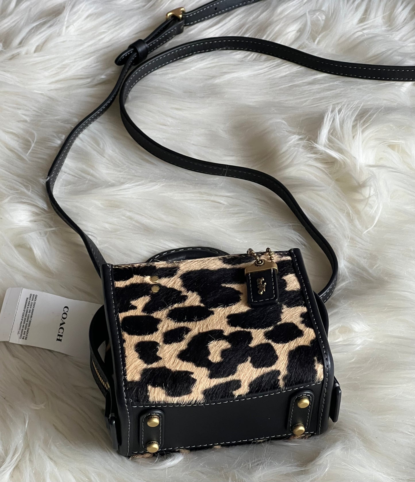 Coach Rogue 12 in Haircalf with Leopard Print