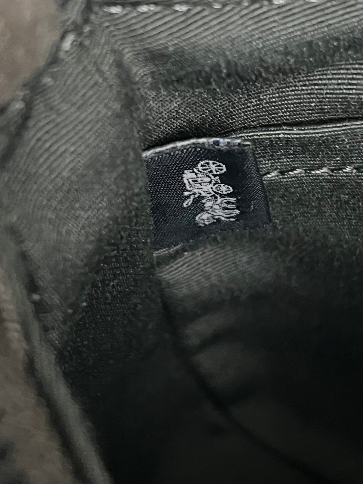 Coach Teri Mini Crossbody Bag