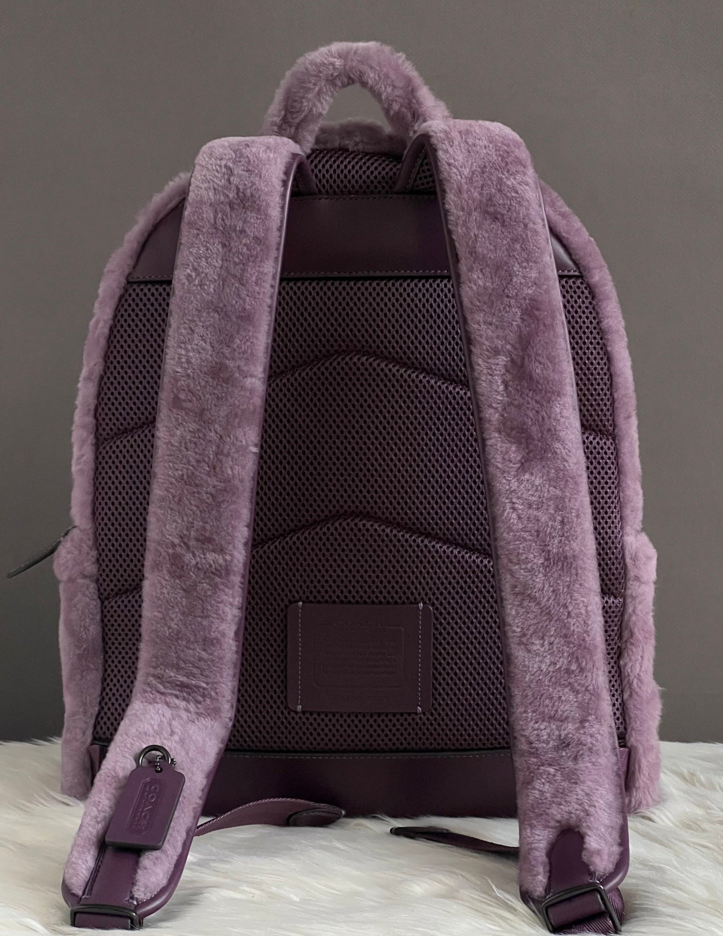 Coach Charter Backpack In Signature Shearling