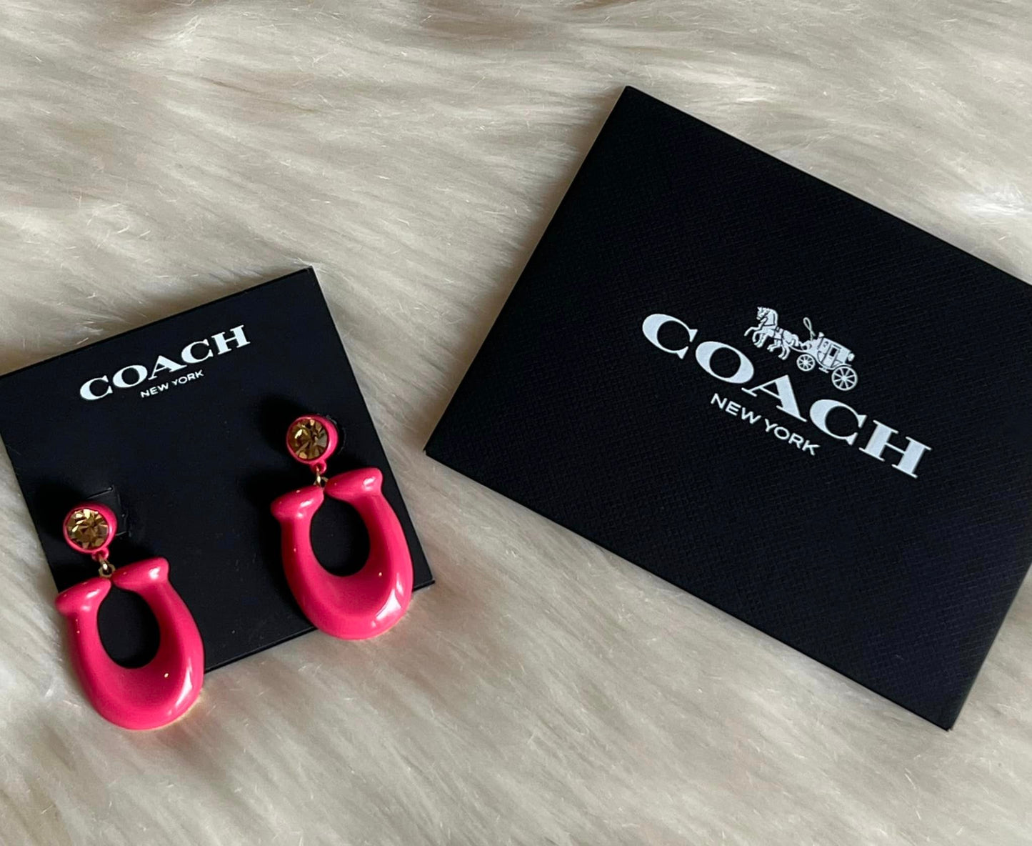 Coach Large Signature Enamel Earrings