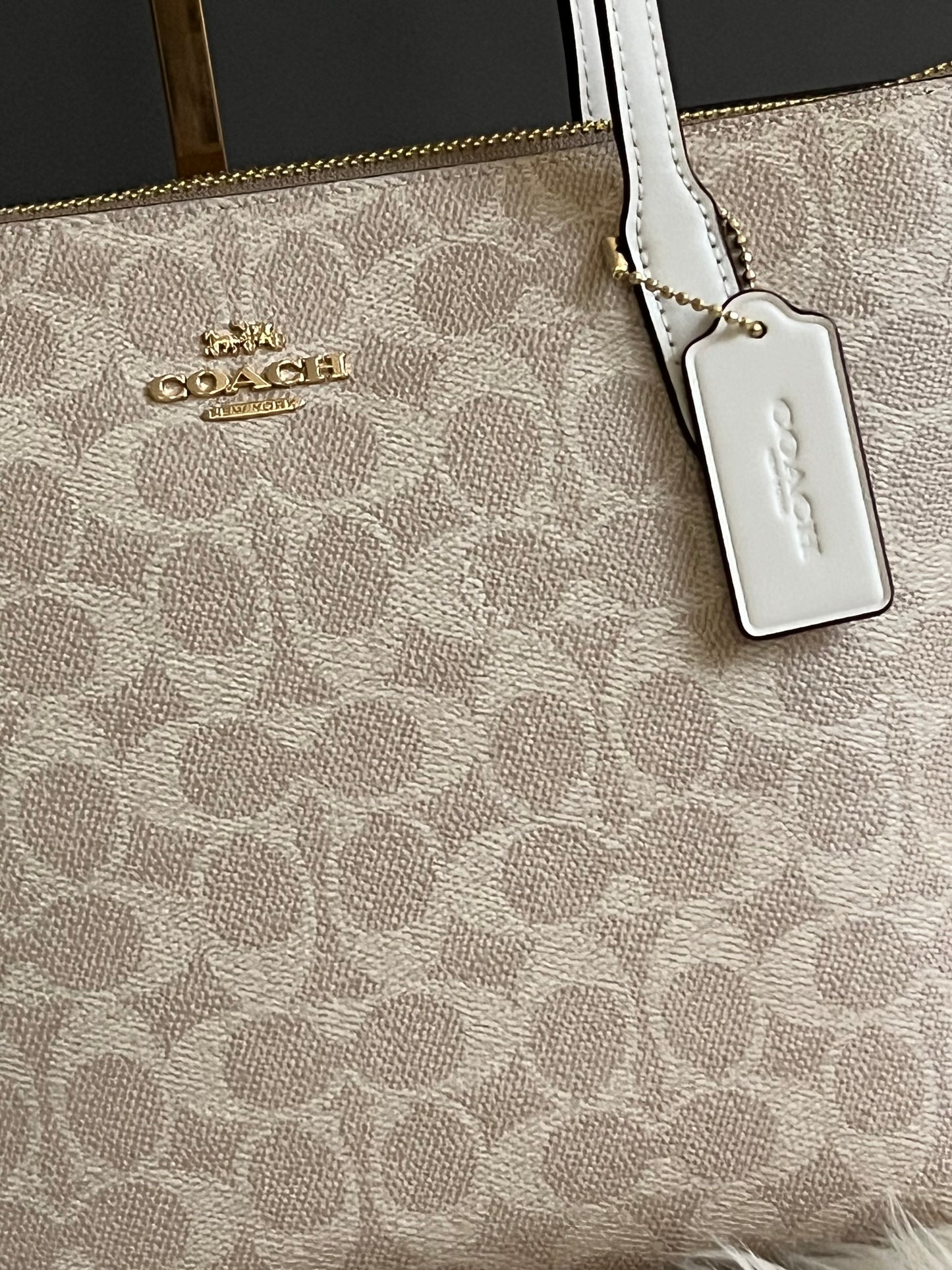 Coach Fiona Zip Tote Bag in Signature Canvas