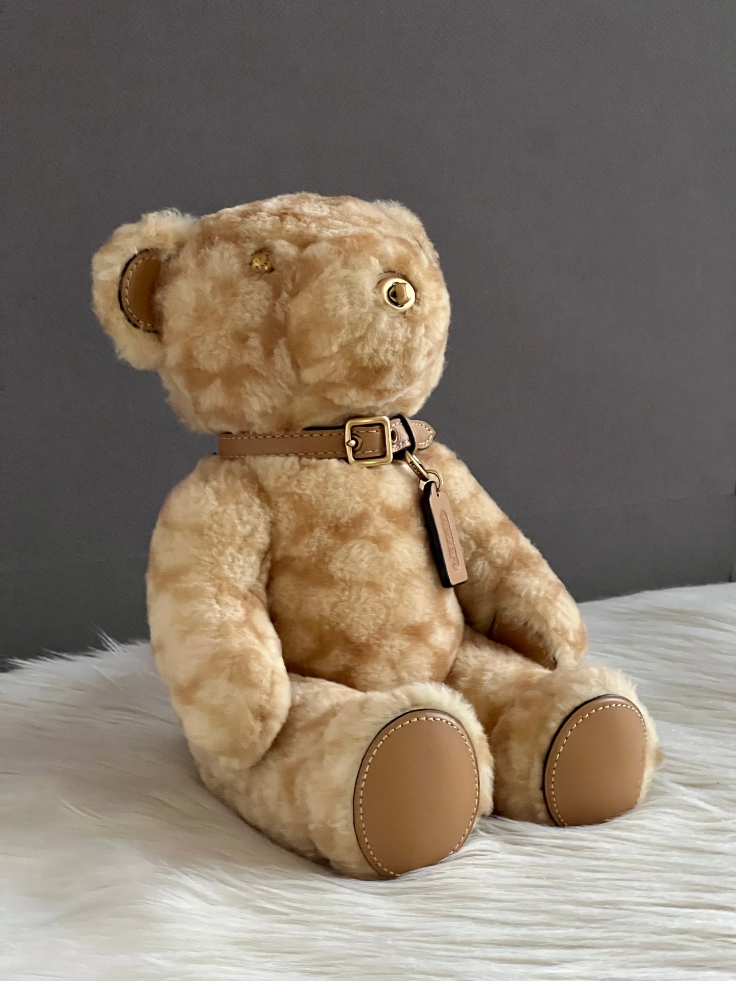 Coach Bear Collectible in Signature Shearling