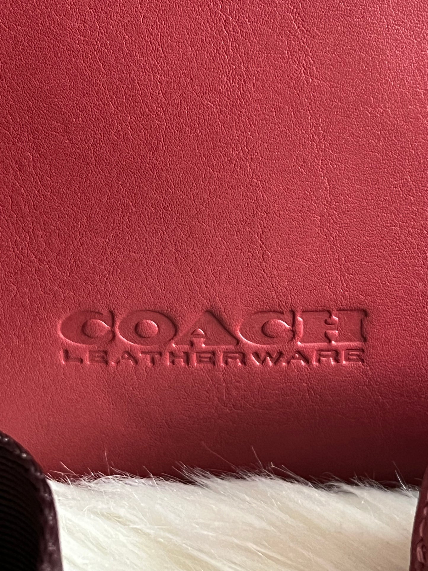 Coach Charter North/South Crossbody With Hybrid Pouch in Colorblock