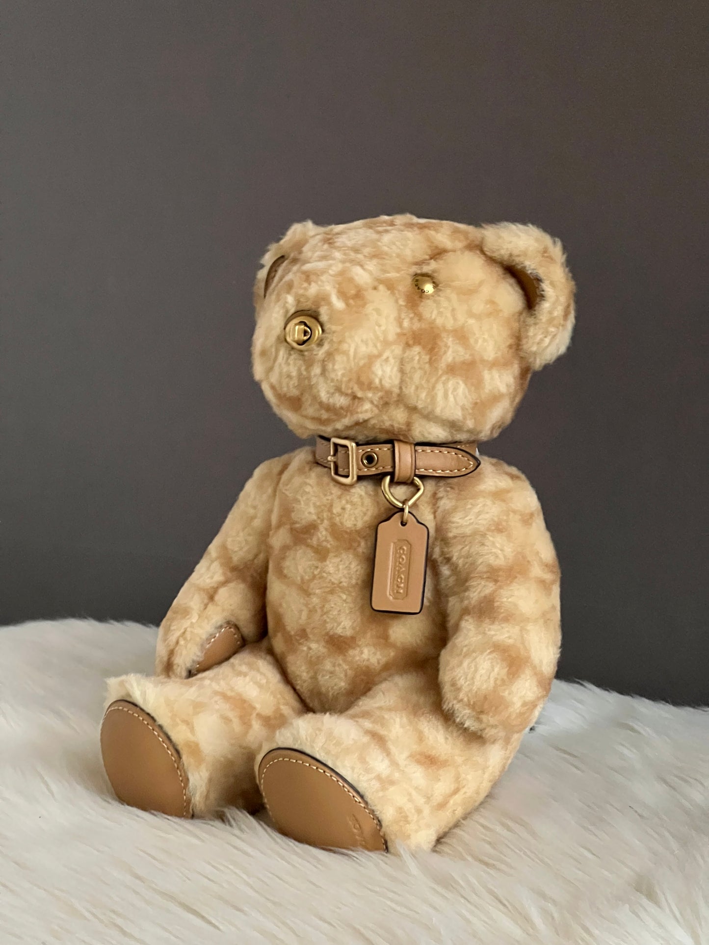 Coach Bear Collectible in Signature Shearling