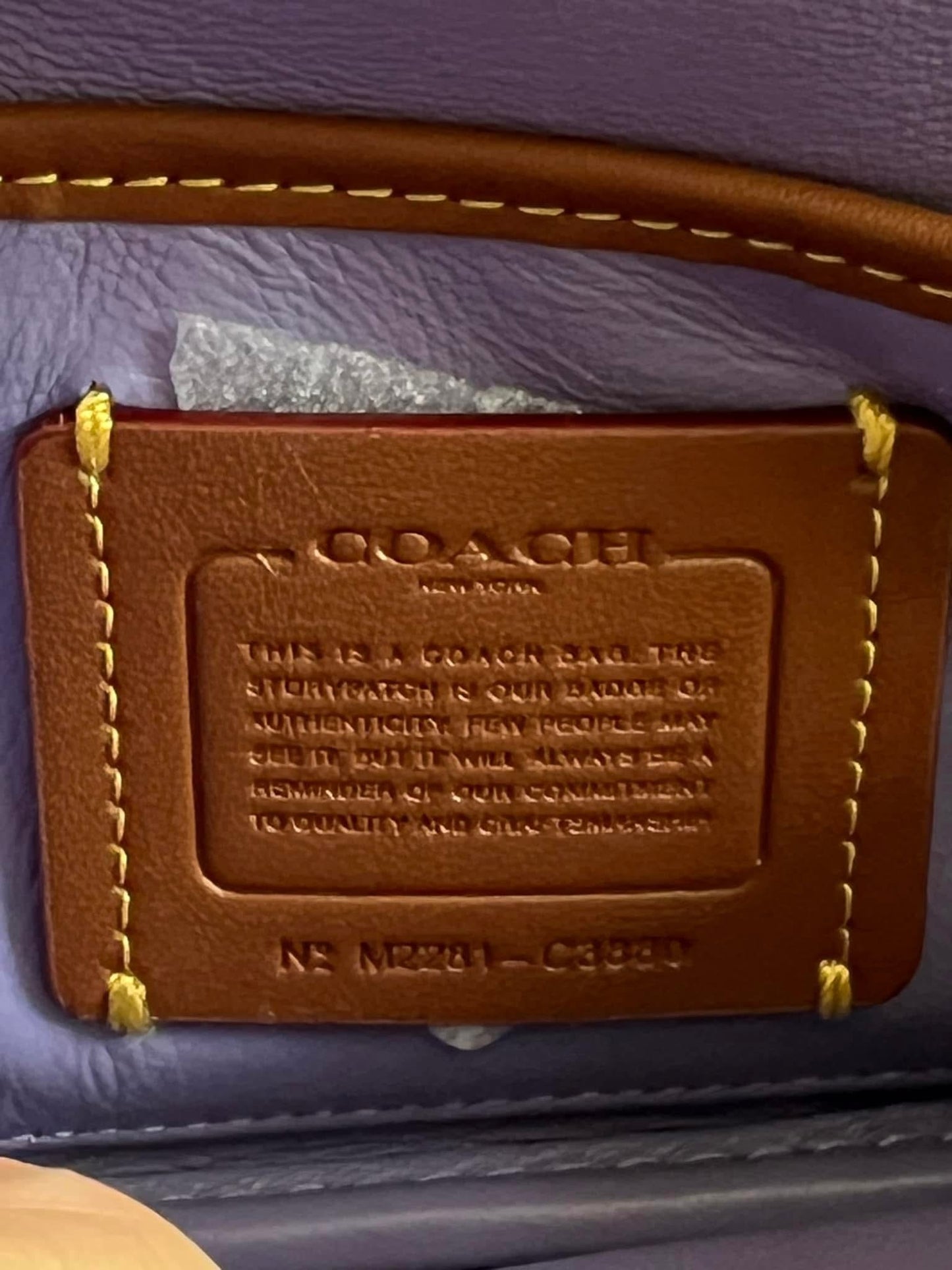 Coach Pillow Tabby Shoulder Bag 18