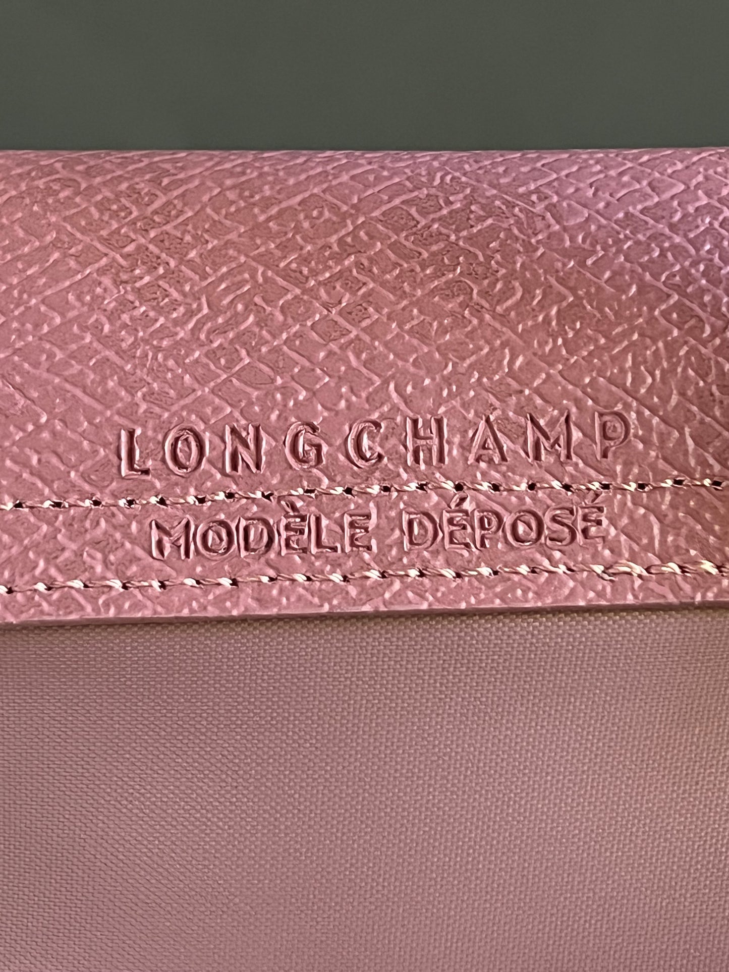Longchamp XS Le Pliage Original Pouch with Strap