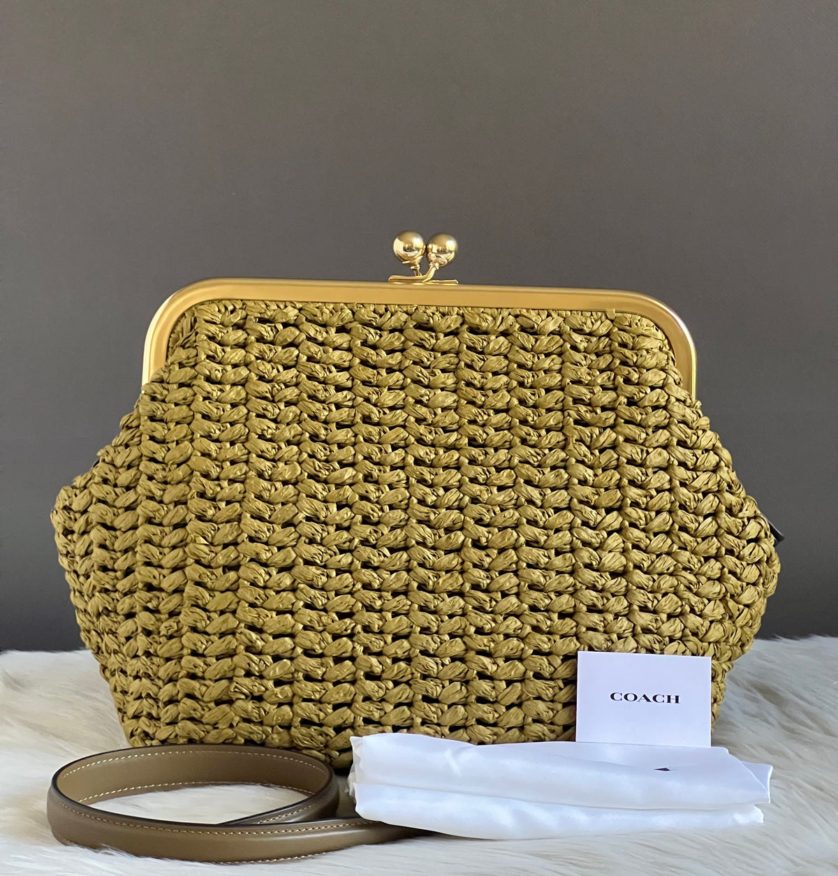 Coach Kisslock Frame Bag 27