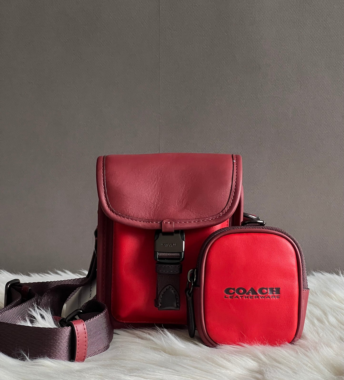 Coach Charter North/South Crossbody With Hybrid Pouch in Colorblock