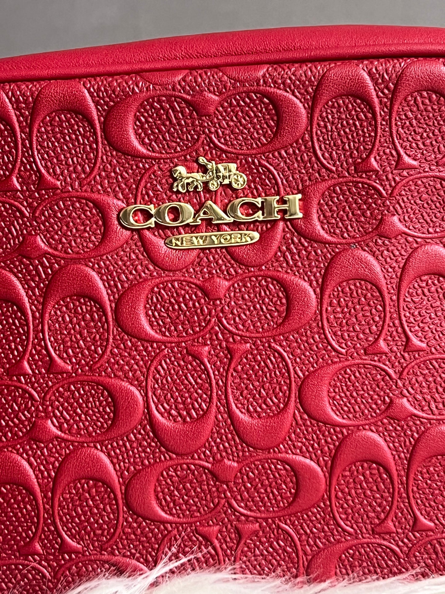 Coach Mini Jamie Camera Bag in Signature Leather