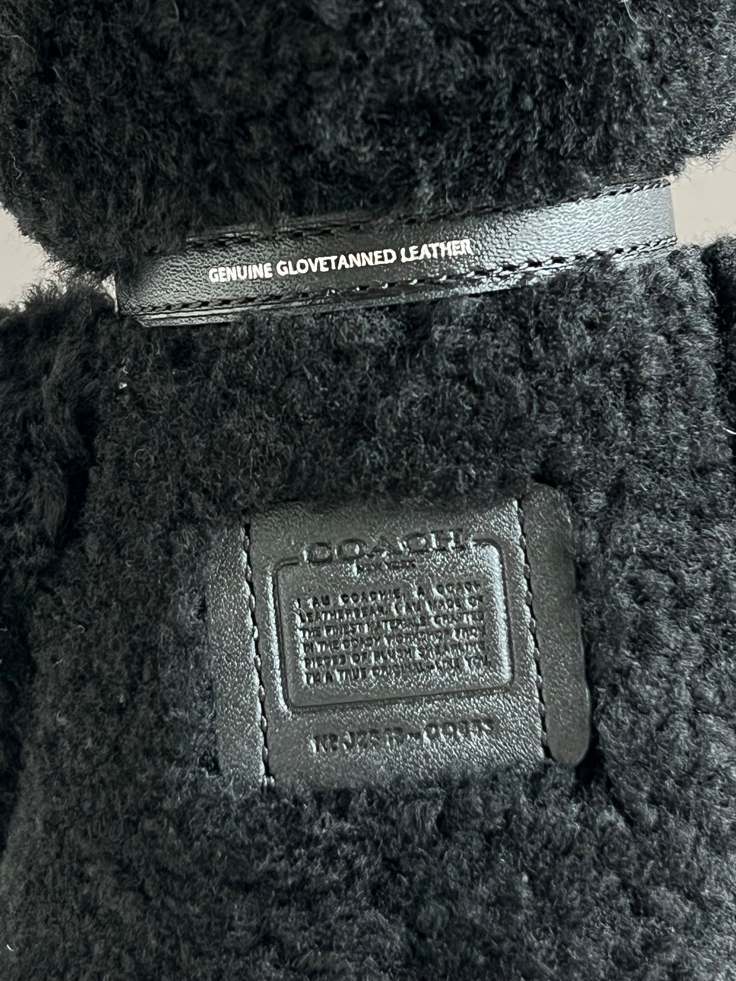 Coach Bear Collectible in Shearling