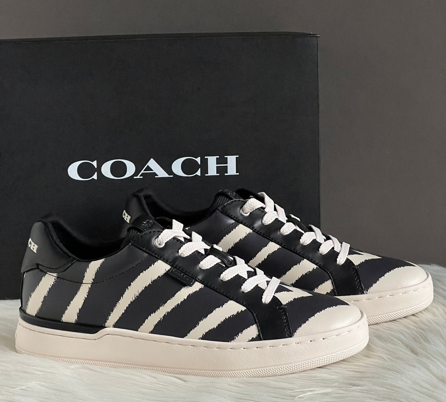 Coach Lowline Low Top Sneaker with Print