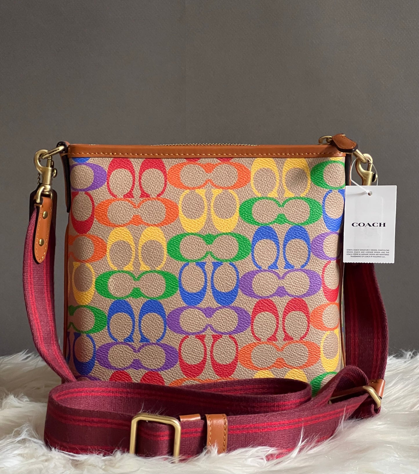 Coach Kitt Messenger Crossbody Bag in Rainbow Signature Canvas