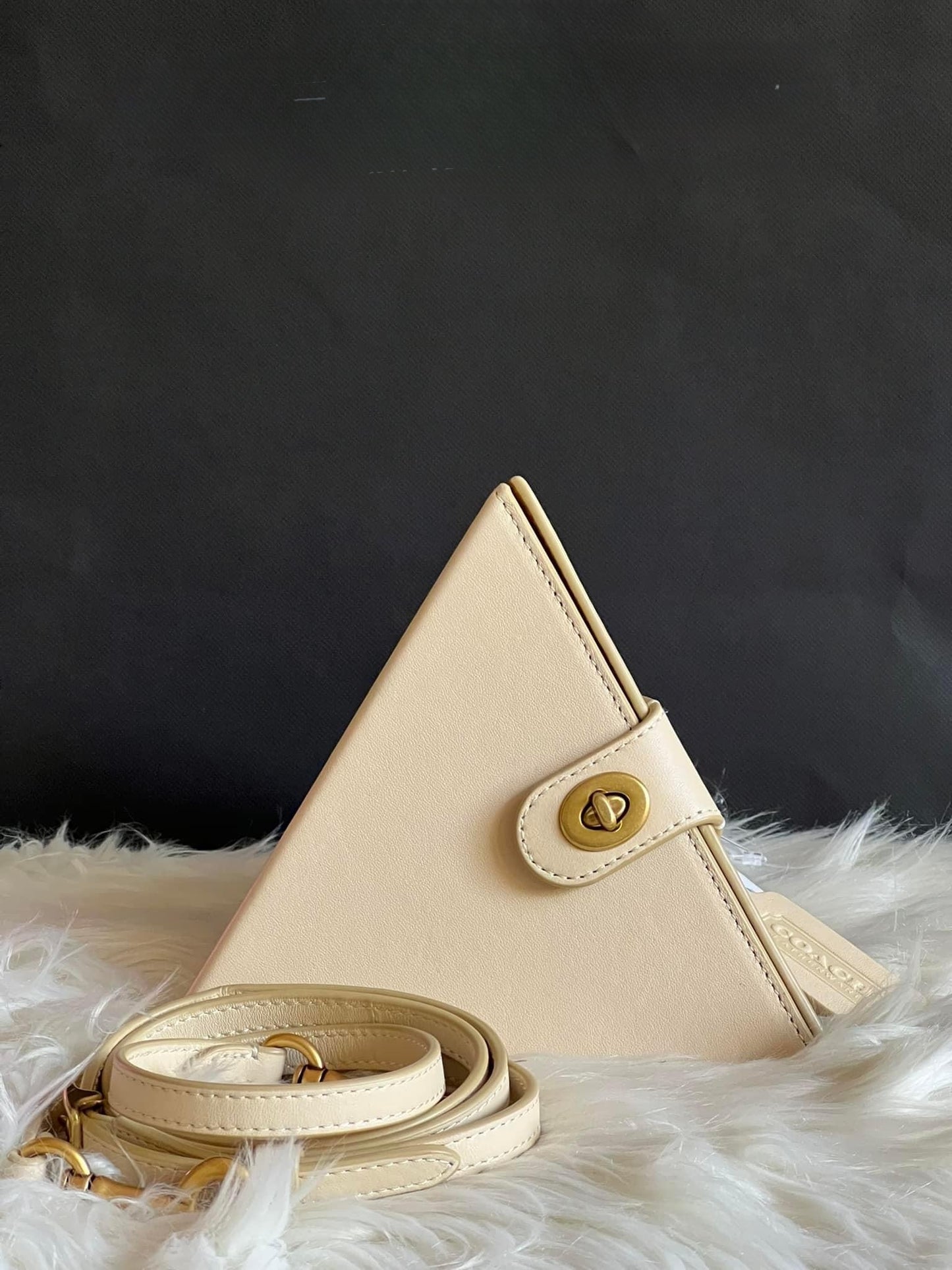 Coach City Blocks Triangle Bag