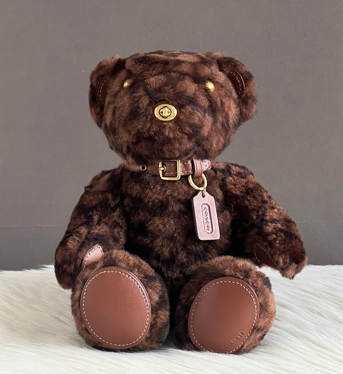 Coach Bear Collectible in Signature Shearling