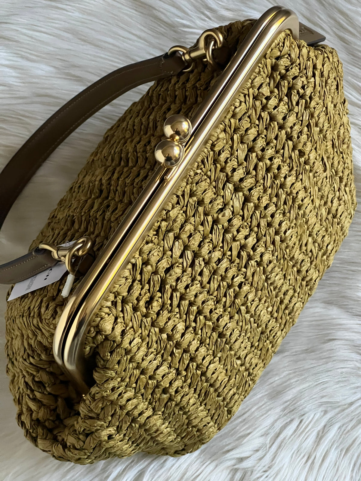 Coach Kisslock Frame Bag 27