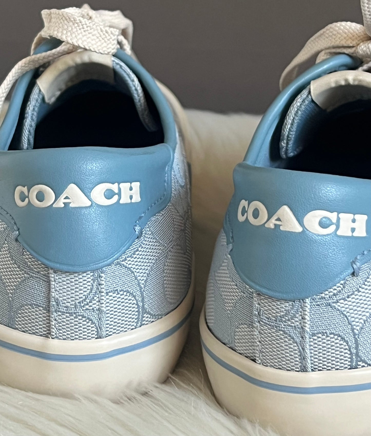 Coach Citysole Skate