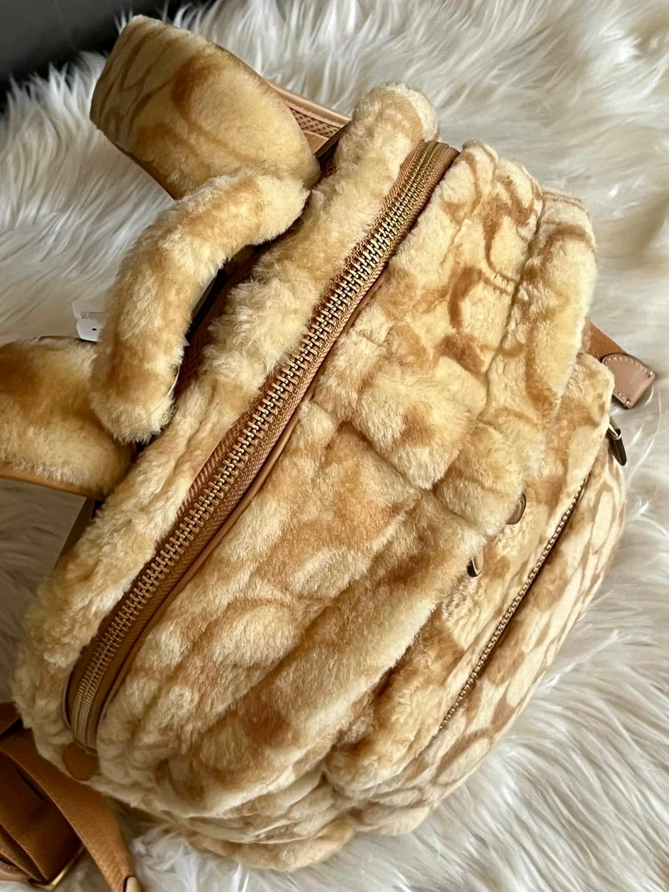 Coach Charter Backpack In Signature Shearling