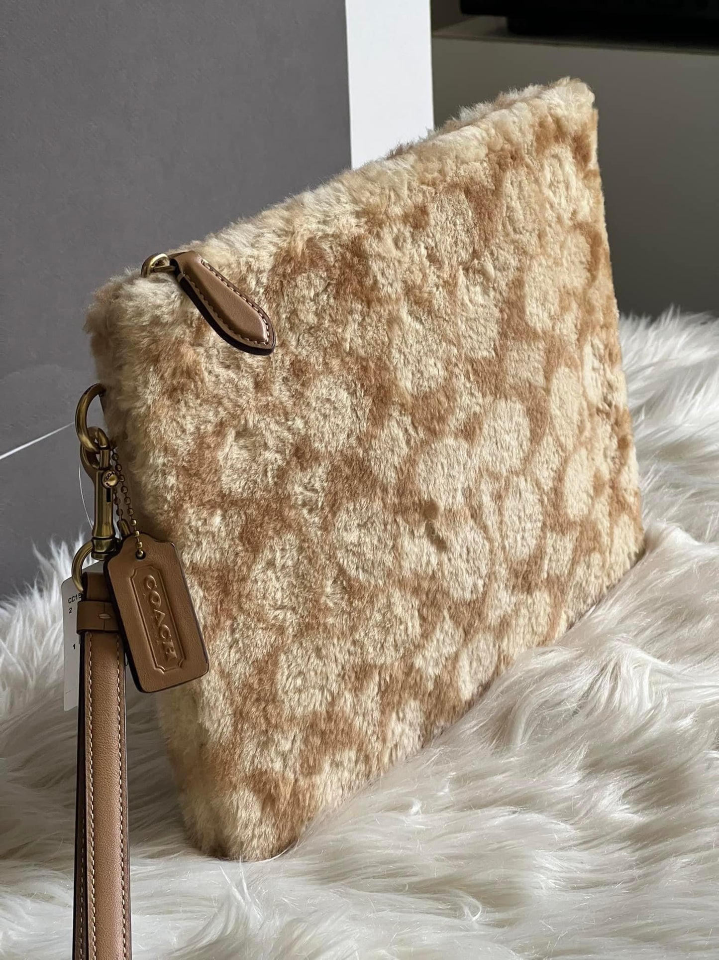 Coach Charter Pouch in Signature Shearling