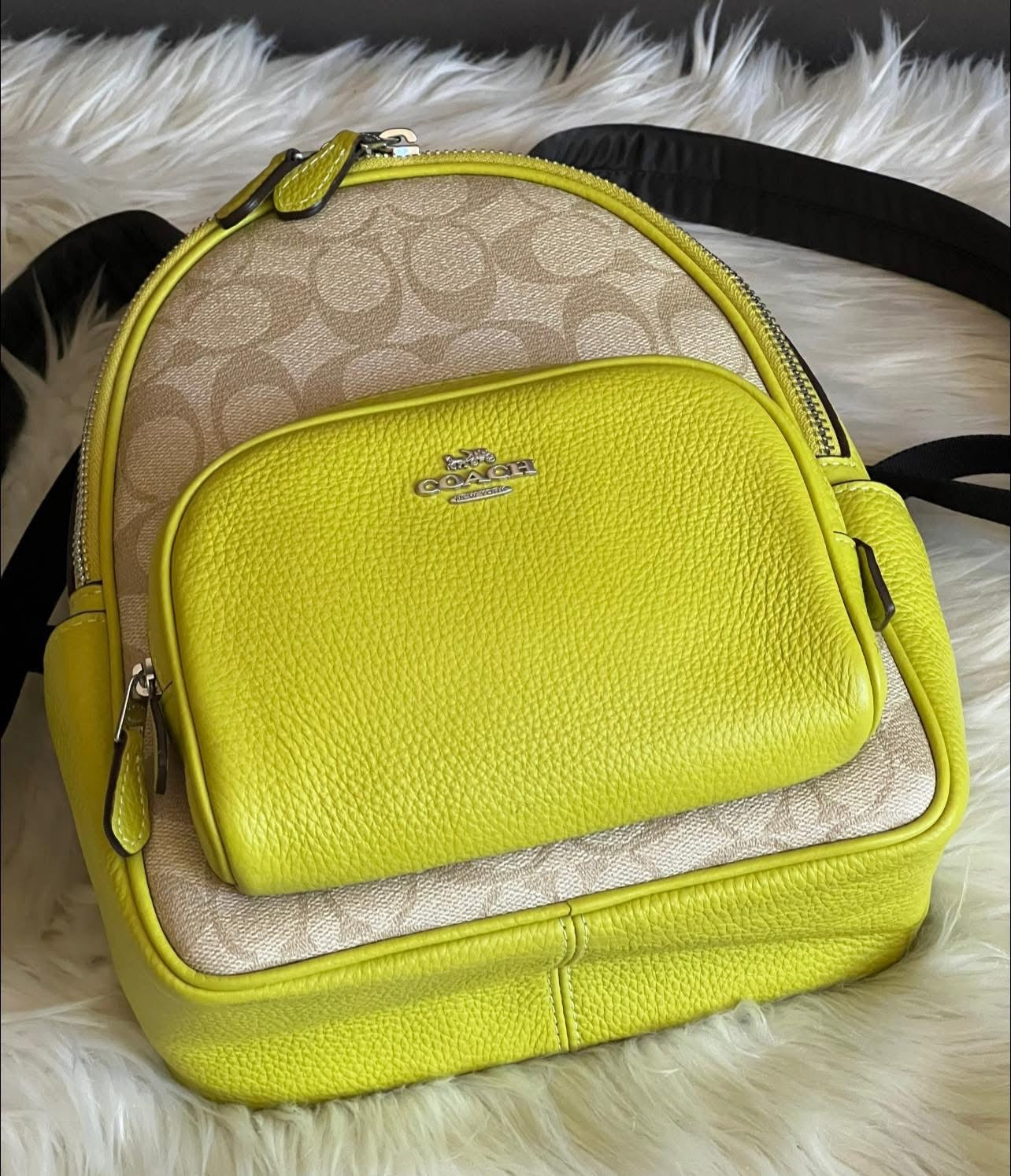 coach court backpack in signature canvas Coach Mini Court Backpack in Signature Canvas – Club de Mode