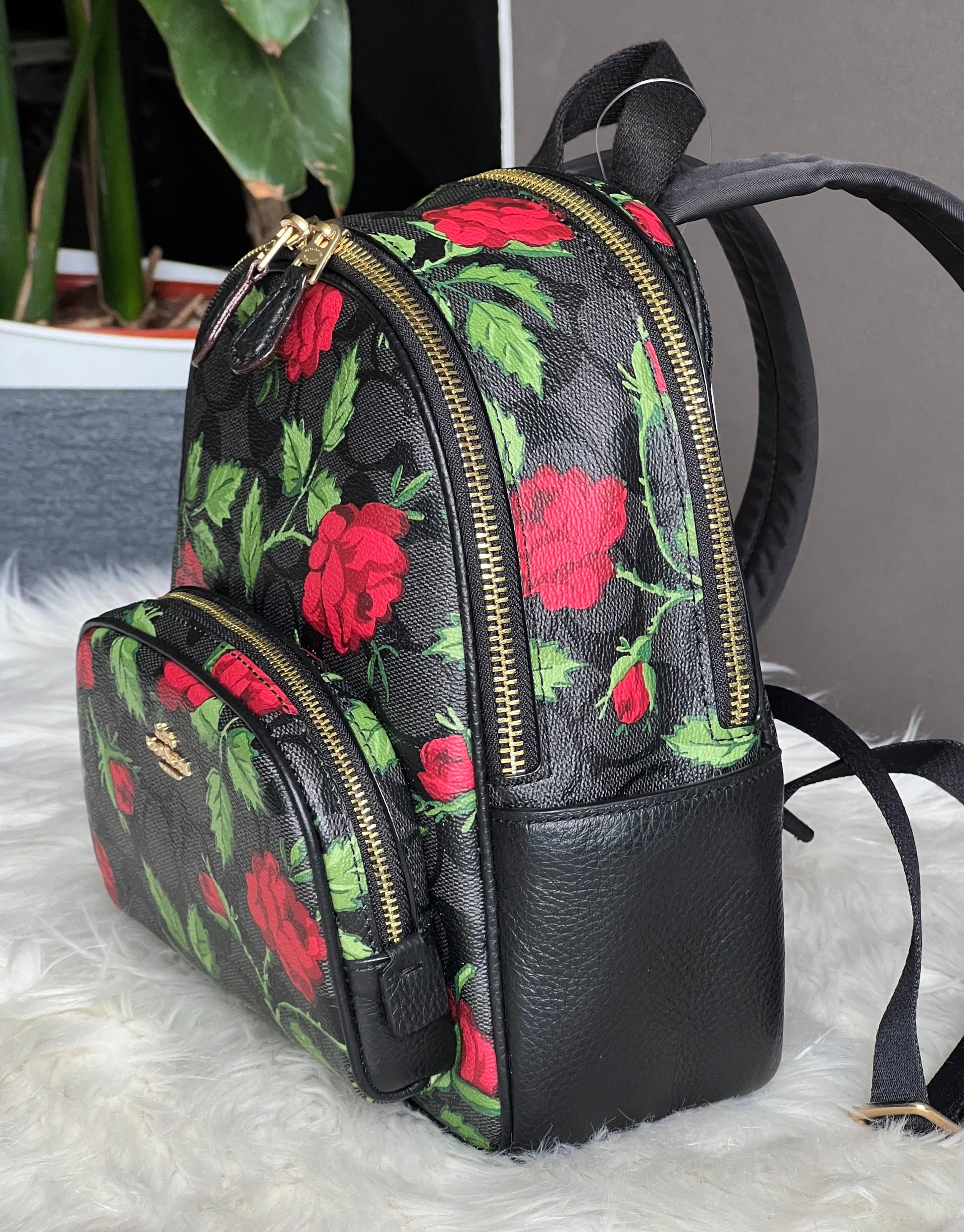 coach black and red backpack floral Coach Mini Court Backpack in Signature Canvas with Fairytale Rose Prin – Club de Mode