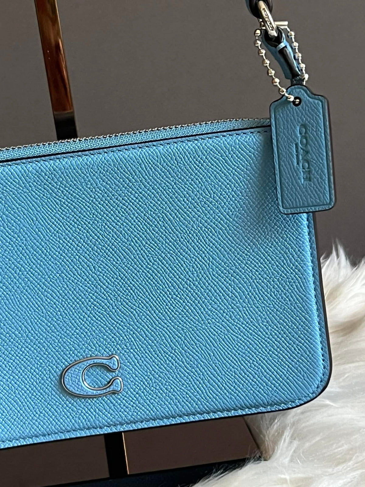 Coach Pouch Bag with Signature Canvas Detail