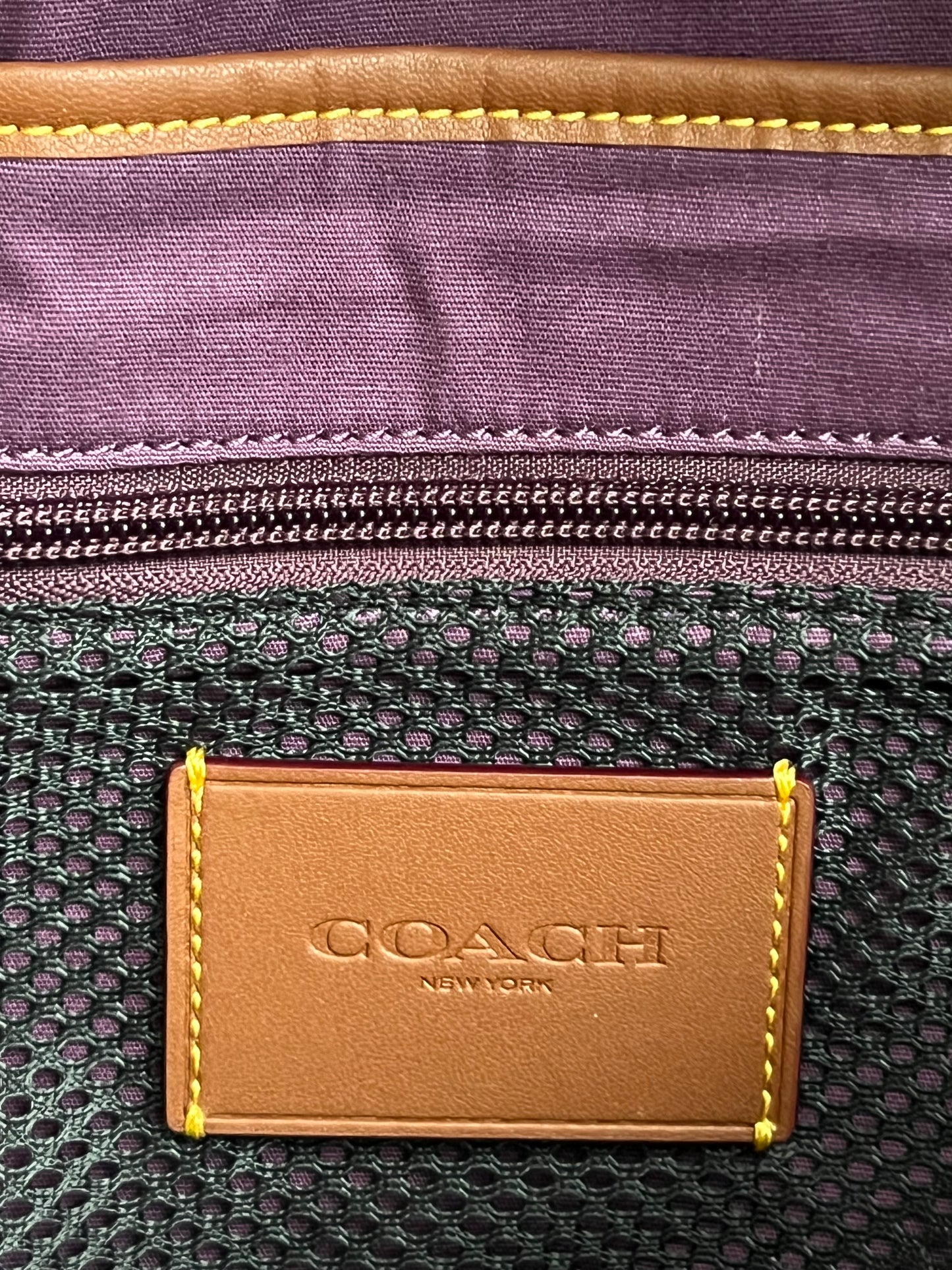 Coach Charter Backpack In Signature Shearling