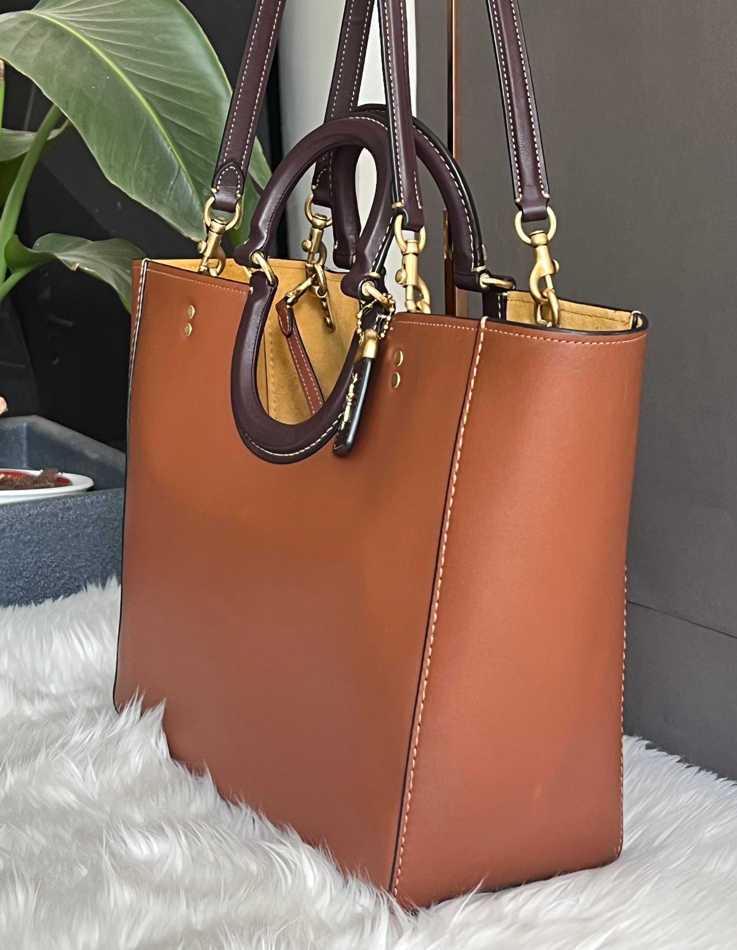 Coach Rae Tote in Colorblock koi