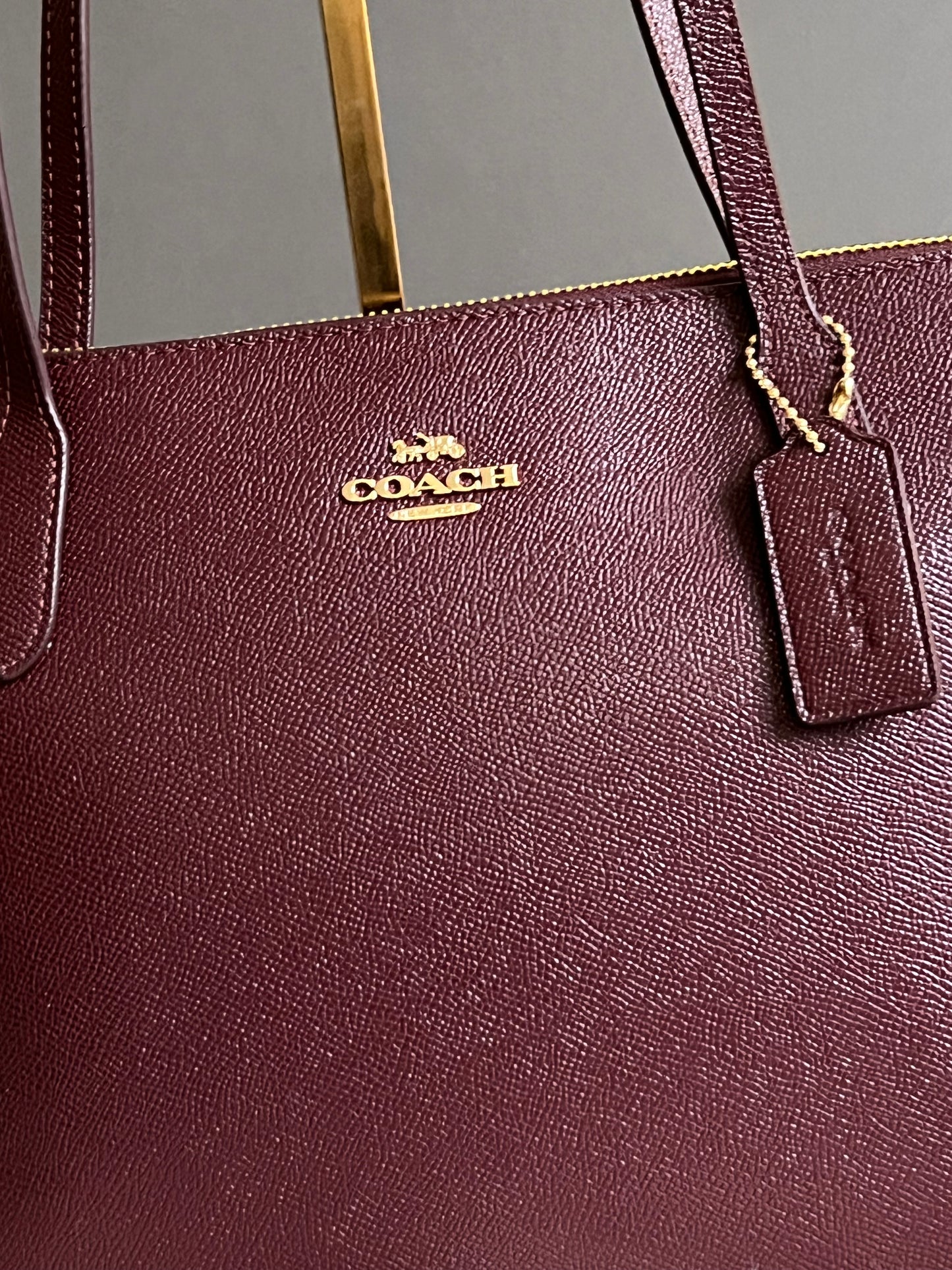 Coach Fiona Zip Tote Bag