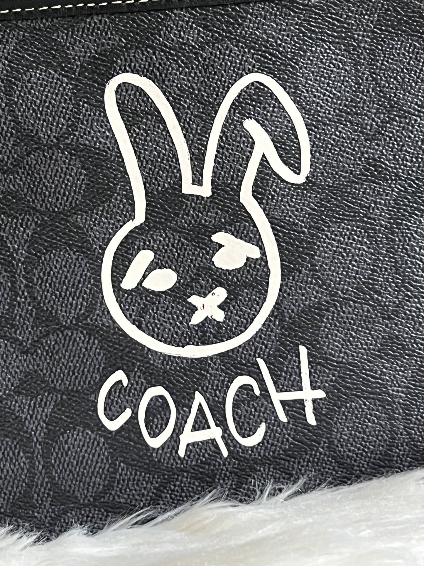 Coach Lunar New Year Charter Crossbody 24 in Signature Canvas with Rabbit